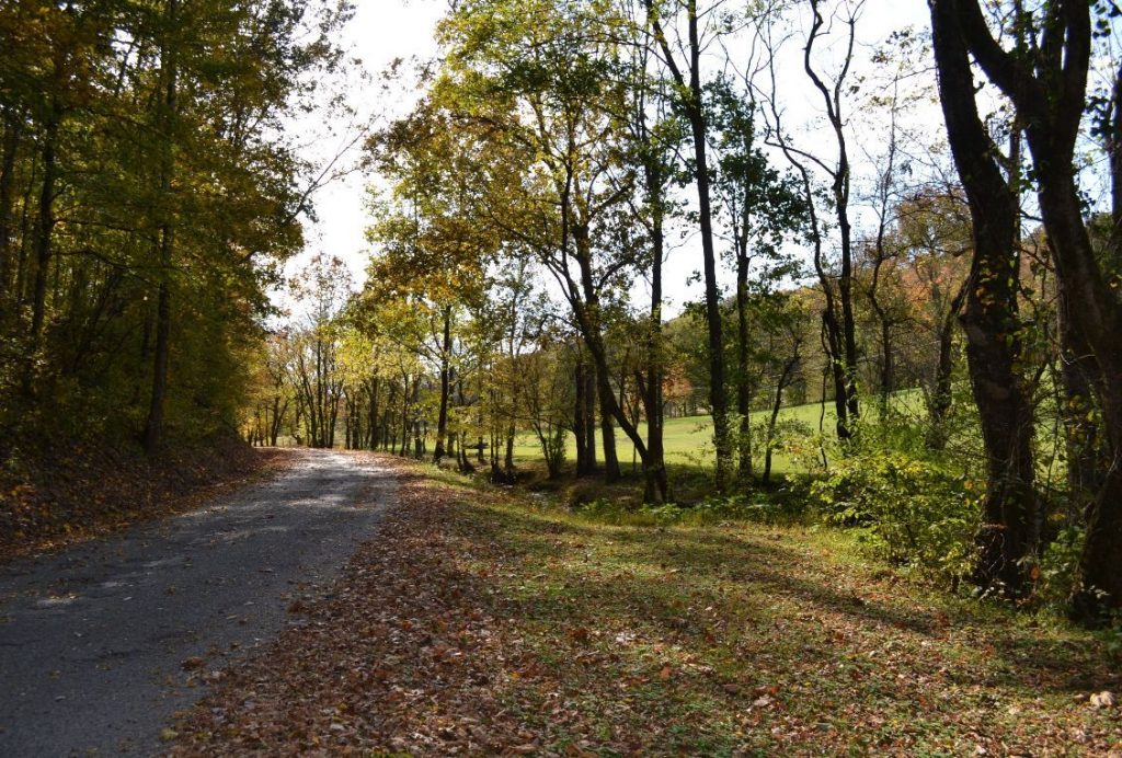 TN History For Kids » Cannon County