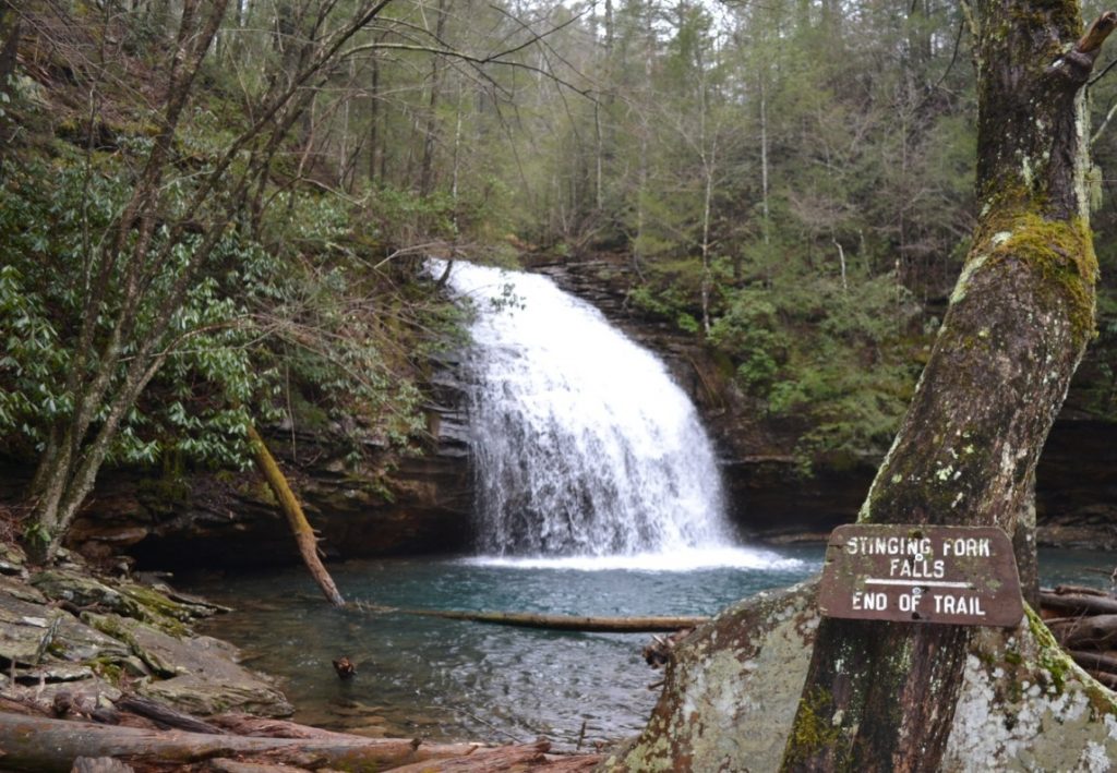 TN History For Kids » Rhea County
