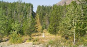 The white marker and clearing marks the border between the Canadian province of Alberta and the state of Montana.