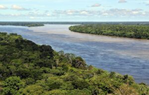 Another view of the Amazon River, surrounded by rainforest. 