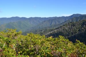 A view of the Great Smoky Mountains, which are part of the physical region known as the Unaka Mountains