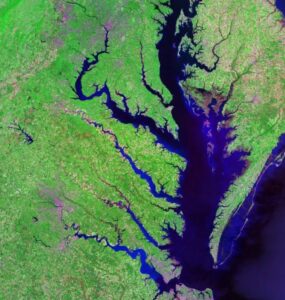 A satellite image shows Chesapeake Bay with all the rivers and estuaries that pour into it. 